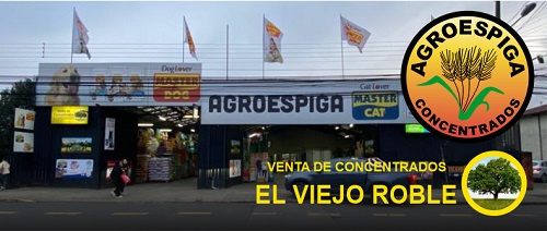 Concentrados para animales