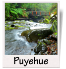 puyehue