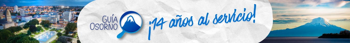 Guía Osorno, Comercios y Servicios