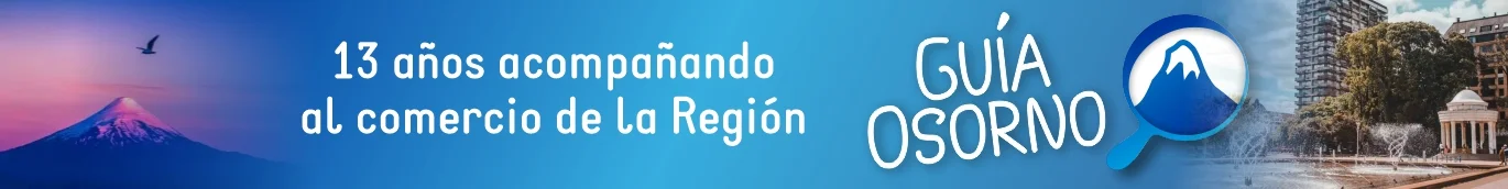 Guía Osorno, Comercios y Servicios