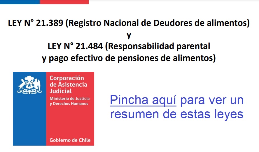 ley registro nacional .deudores chile