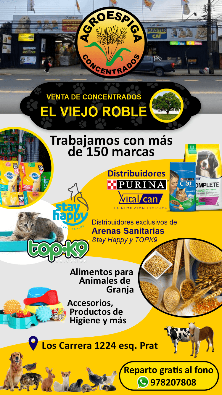 alimentos concentrados para animales mascotas en osorno