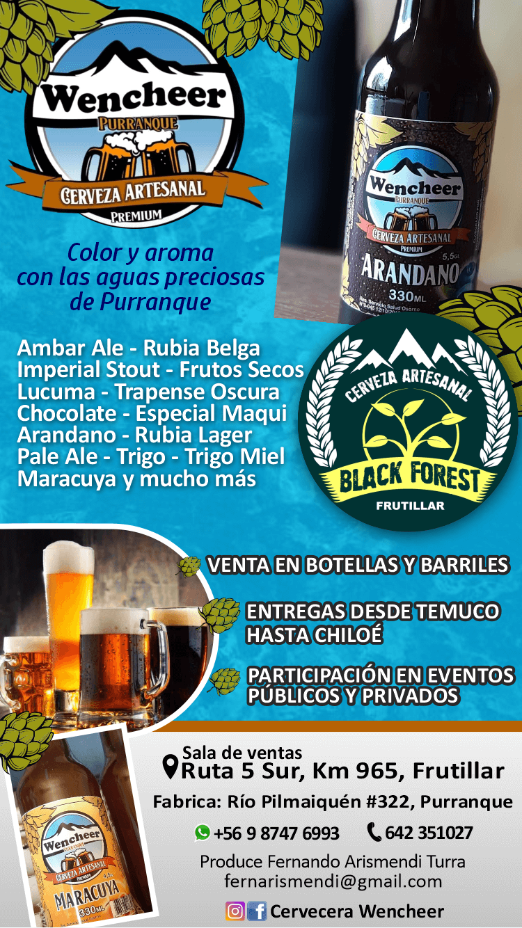 cerveza artesanal black forest frutillar