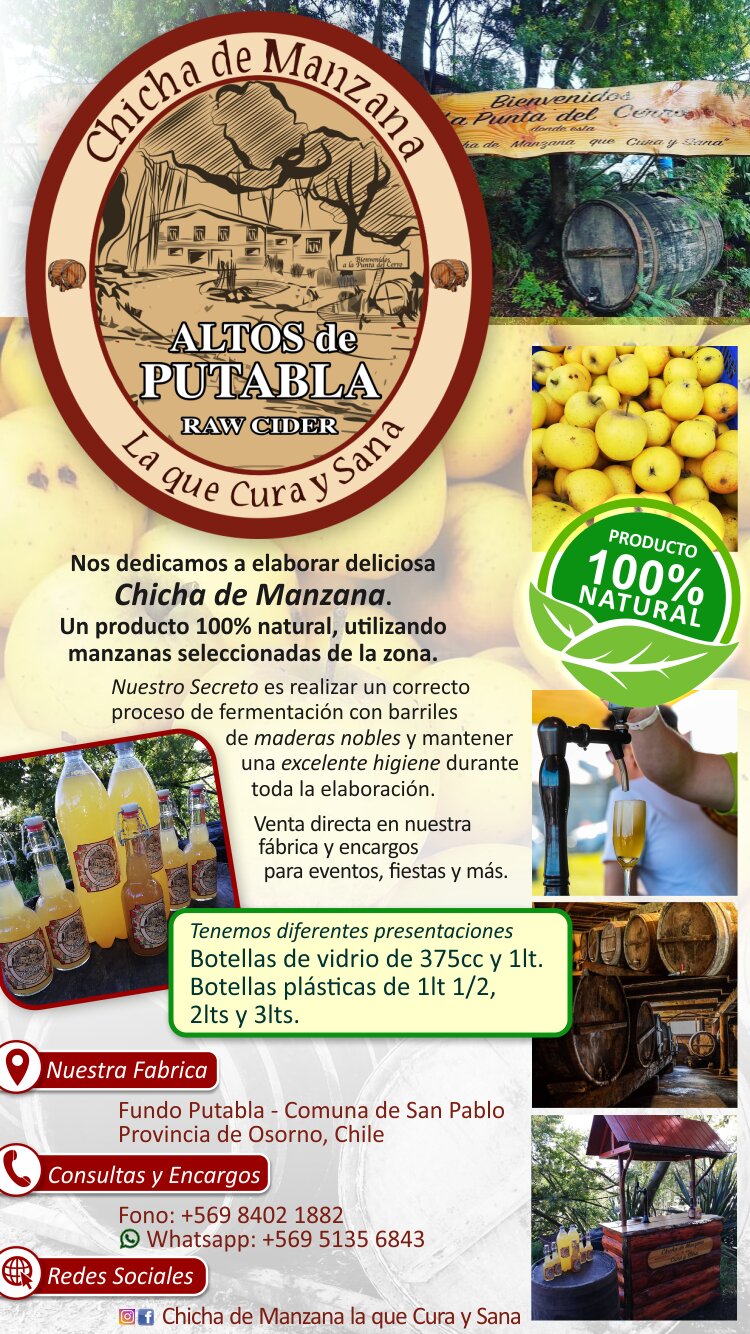 chicha de manzana sidra en osorno