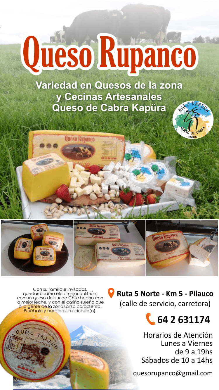 quesos y cecinas artesanales osorno